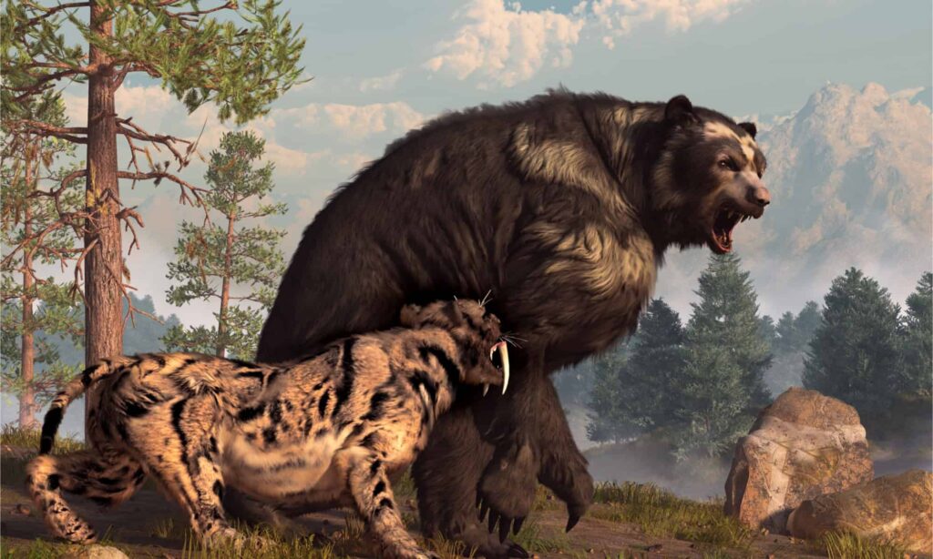 largest bear species