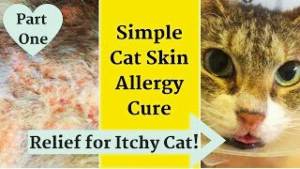 How can i soothe my cats itchy skin